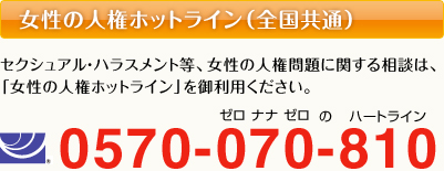 ̐lzbgCiSʁj0570-070-810